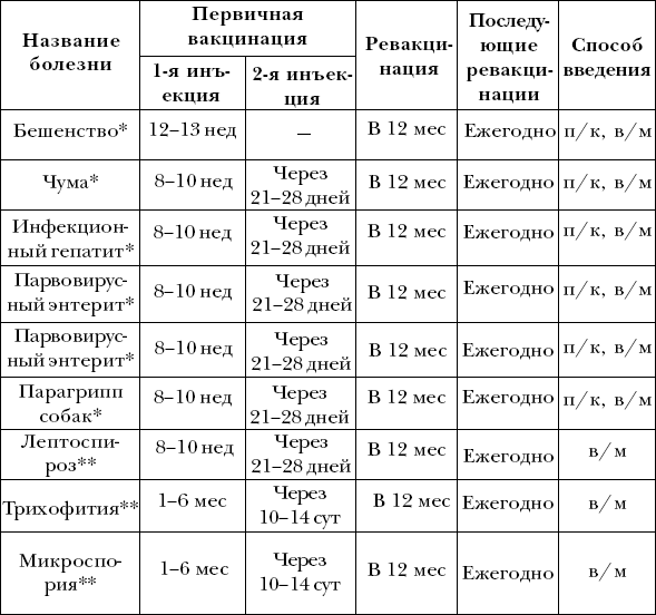 Курсовая работа: Процесс лечения собак с диагнозом хронический гастрит